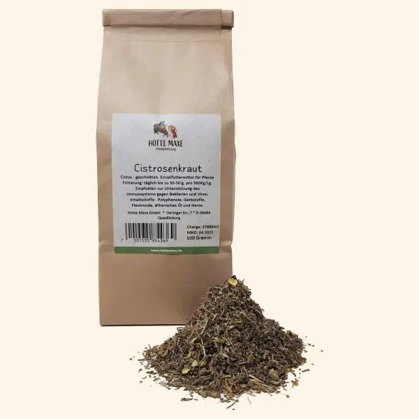 Cistrosenkraut