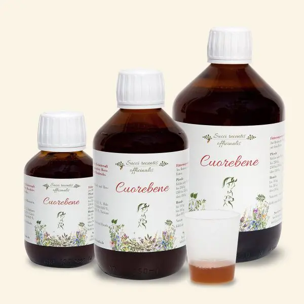 Cuorebene