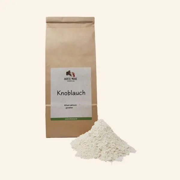 Knoblauch-Pulver