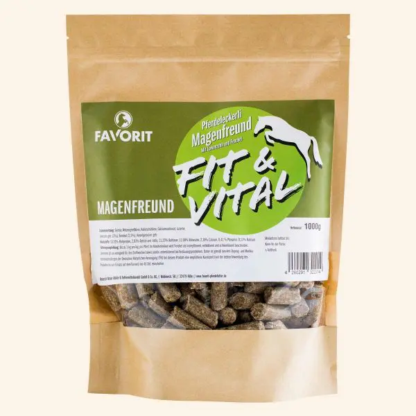 Favorit Fit & Vital Magenfreund (Löwenzahn Fenchel)