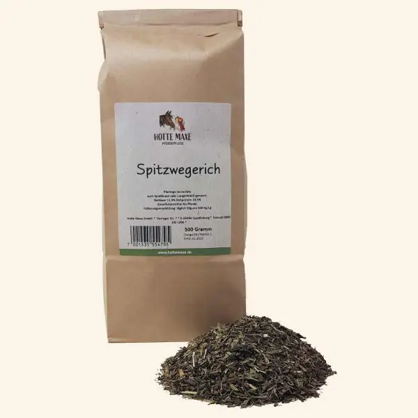 Spitzwegerich, getrocknete Blätter