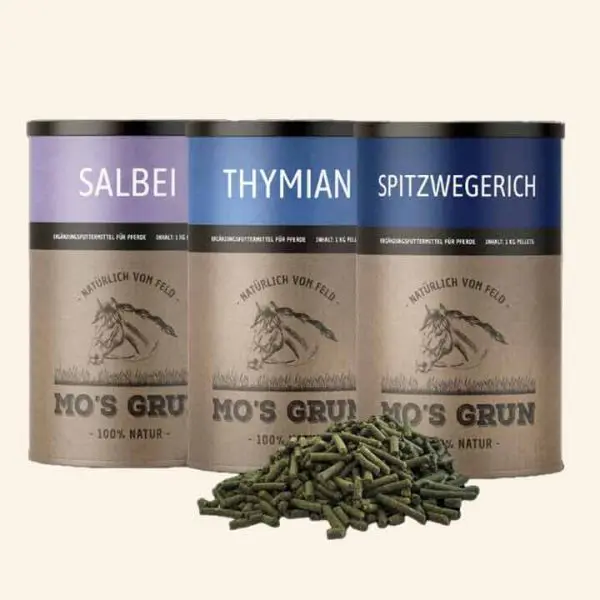Hustenkräuter Set - Thymian, Salbei, Spitzwegerich
