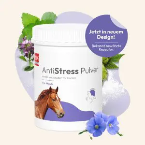 PHA AntiStress für Pferde